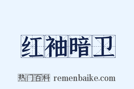 红袖暗卫是什么意思的图片